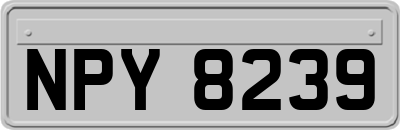 NPY8239