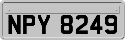 NPY8249