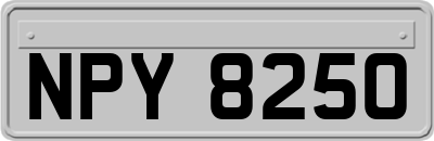 NPY8250