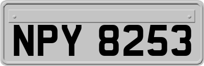 NPY8253