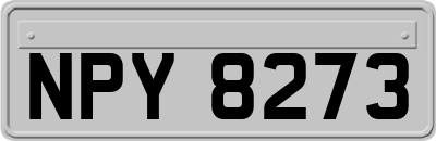 NPY8273