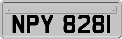NPY8281
