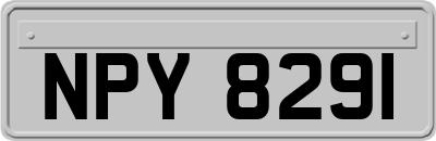 NPY8291
