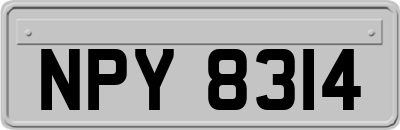 NPY8314