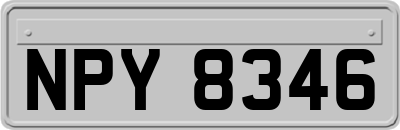 NPY8346