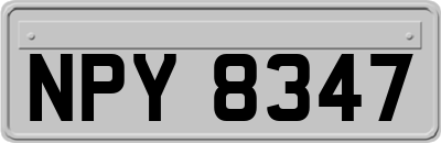 NPY8347