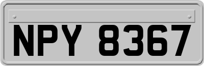 NPY8367