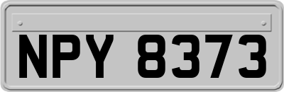 NPY8373