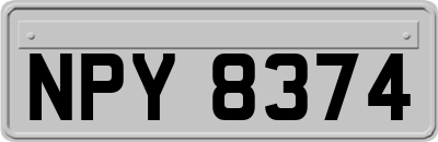 NPY8374