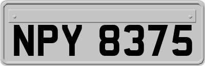 NPY8375