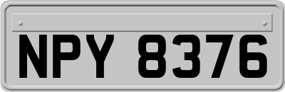 NPY8376