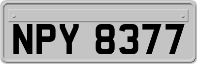 NPY8377