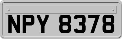 NPY8378