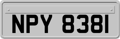 NPY8381