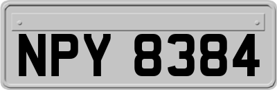 NPY8384