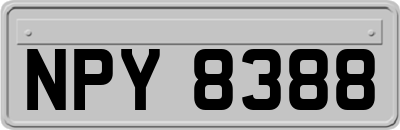 NPY8388