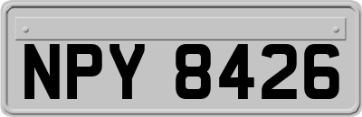 NPY8426