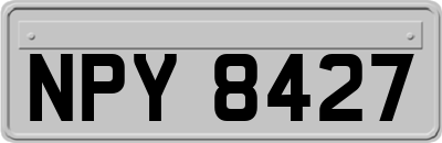 NPY8427