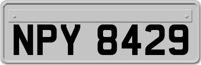 NPY8429
