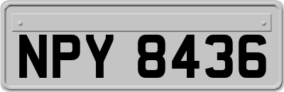 NPY8436