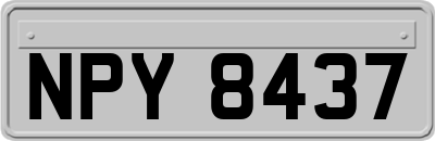 NPY8437