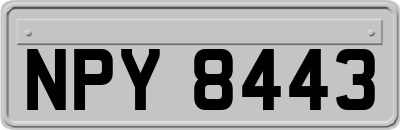 NPY8443