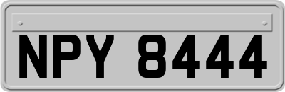 NPY8444