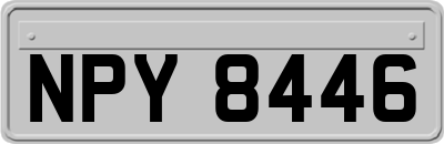 NPY8446