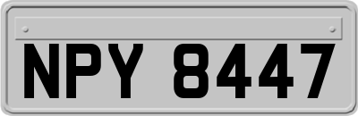 NPY8447