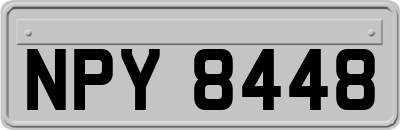 NPY8448