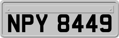 NPY8449