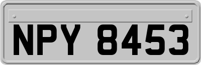 NPY8453