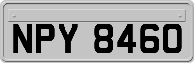 NPY8460