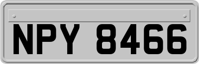 NPY8466
