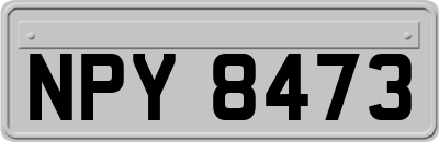 NPY8473