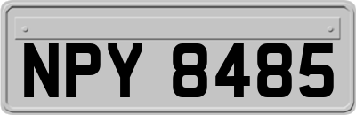 NPY8485