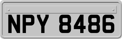NPY8486