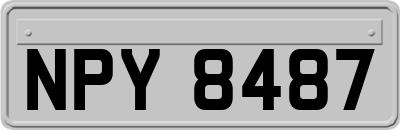 NPY8487