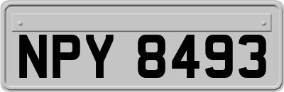 NPY8493