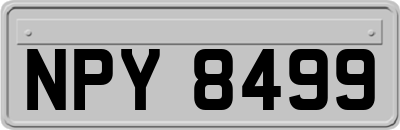 NPY8499