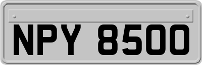 NPY8500