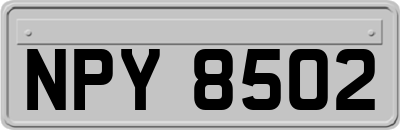 NPY8502