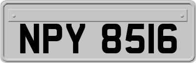 NPY8516