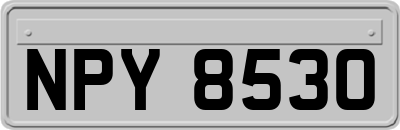 NPY8530