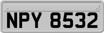 NPY8532