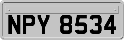 NPY8534