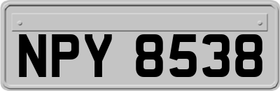 NPY8538