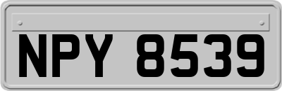 NPY8539