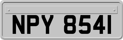 NPY8541