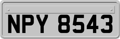NPY8543